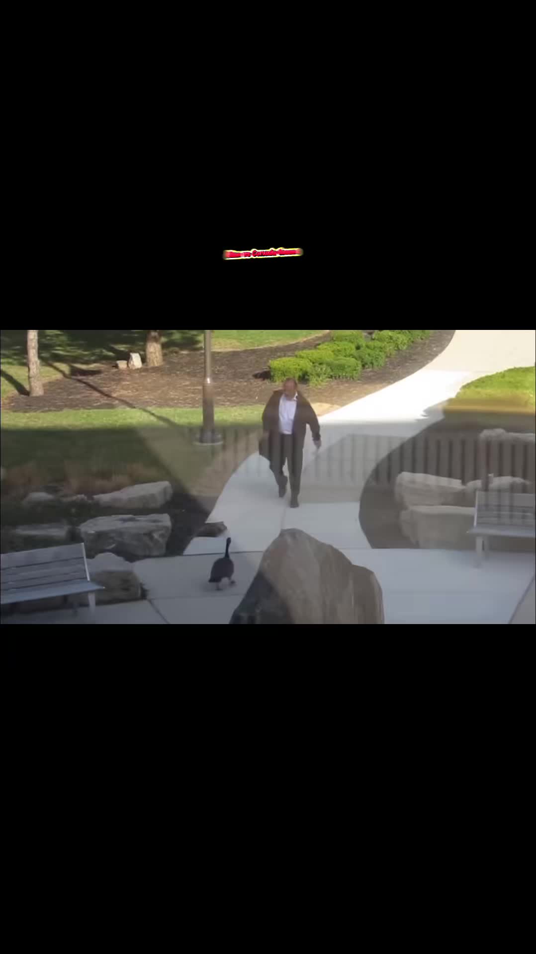 @jimobriendet