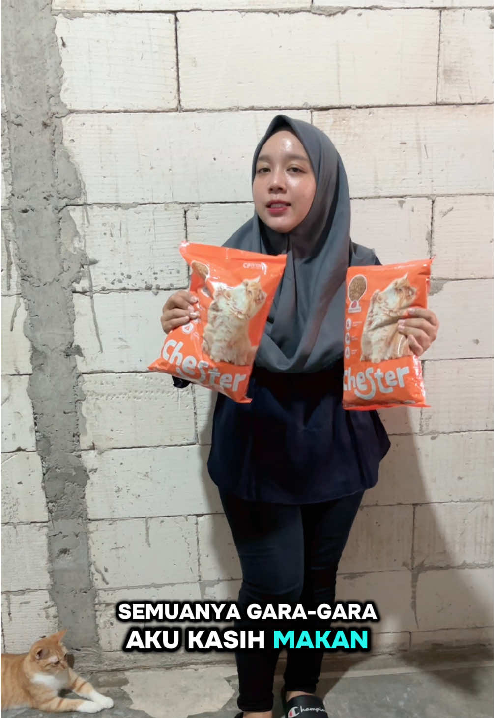@BUMI ANABUL😺