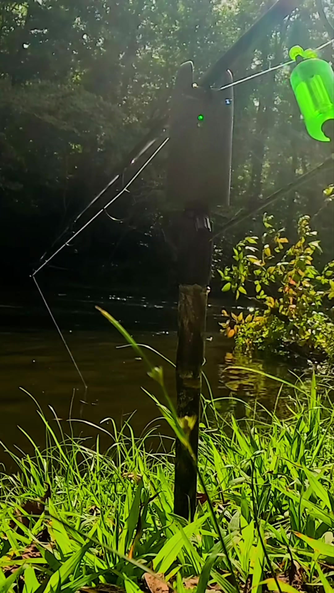 @Dunamis Angling