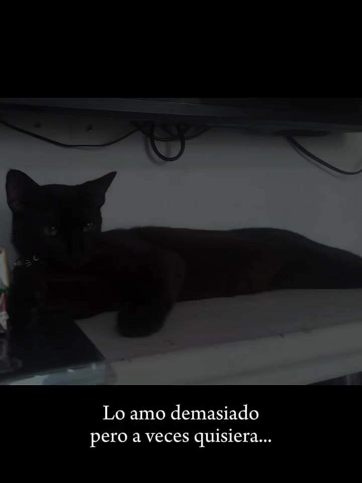 @MaJho MaRtiÑoN