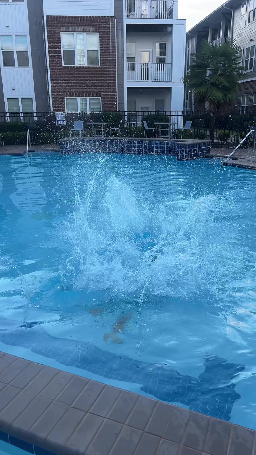 @🦆jeremy.patrick1🦆