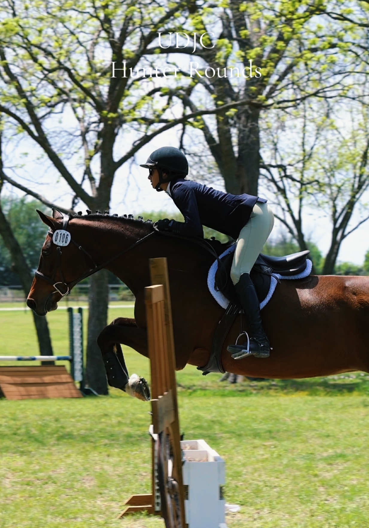 @Grace Equestrian TX