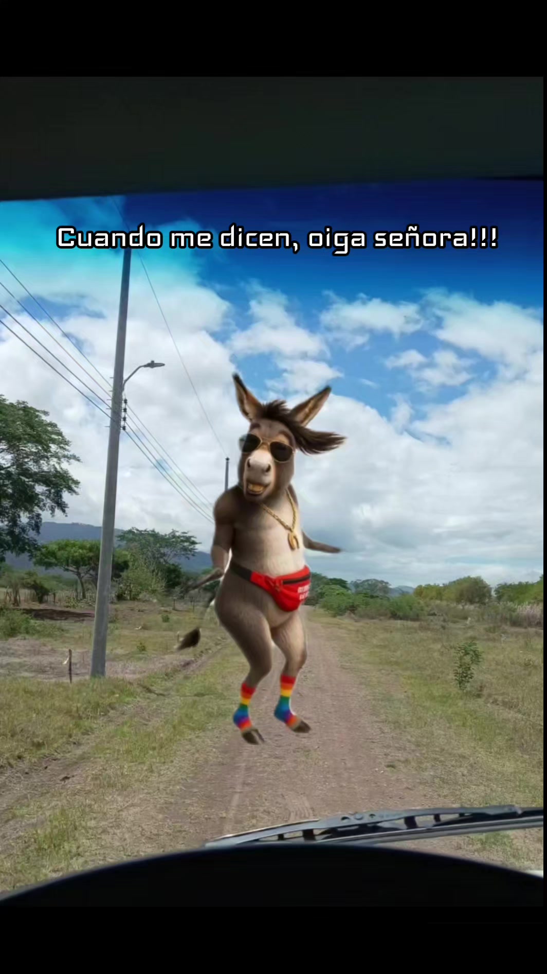 @Misinguita Cárdenas 😻