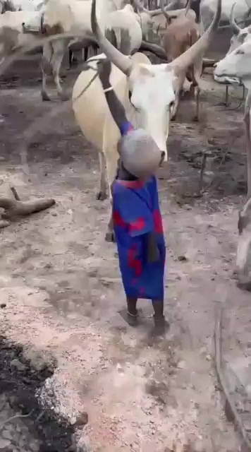 @Thiak Ayuen 🇸🇸