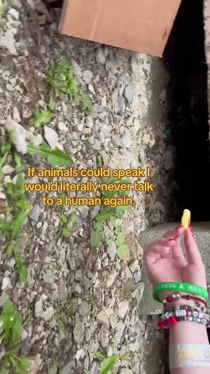 @𖣂𝓚𝓪𝔂𝓭𝓮𝓷𝓬𝓮𖣂
