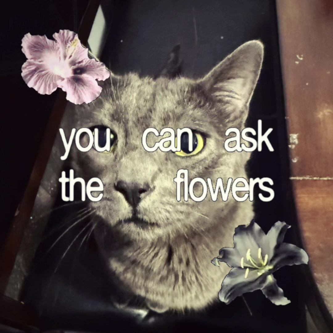 @๐
๐ฒ๐ฑ๐ฑ๐ข๐ฏ๐ฃ๐ฉ๐ถ๐ค๐ฉธ