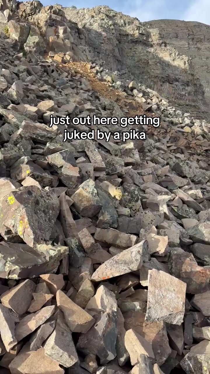 @gotouchrock