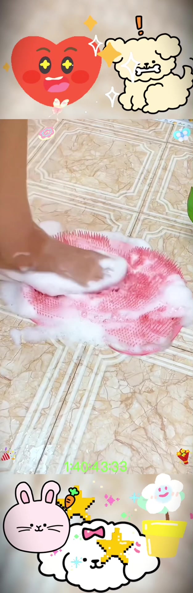 @masjhdajdsha