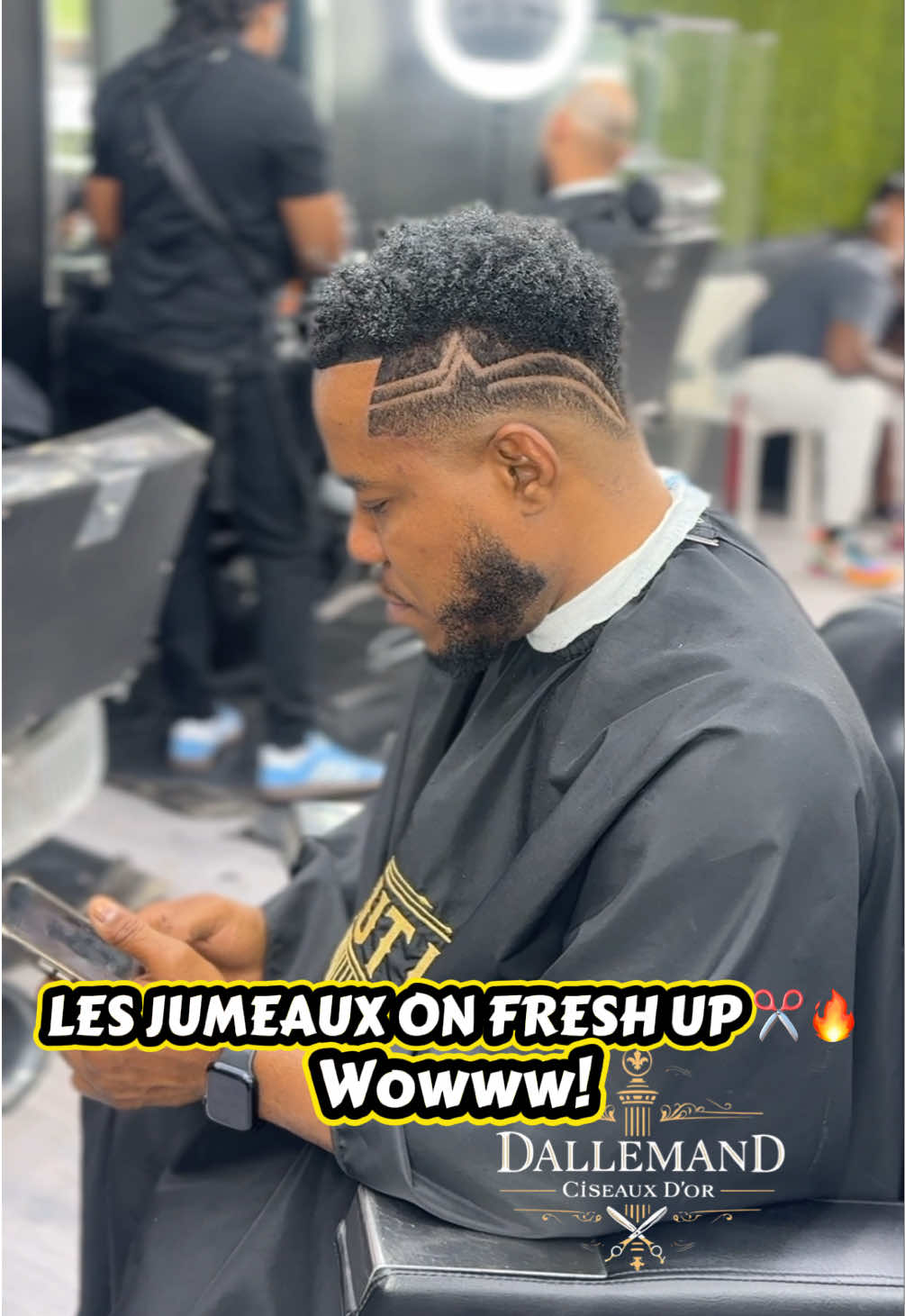 @dallemandciseauxdor