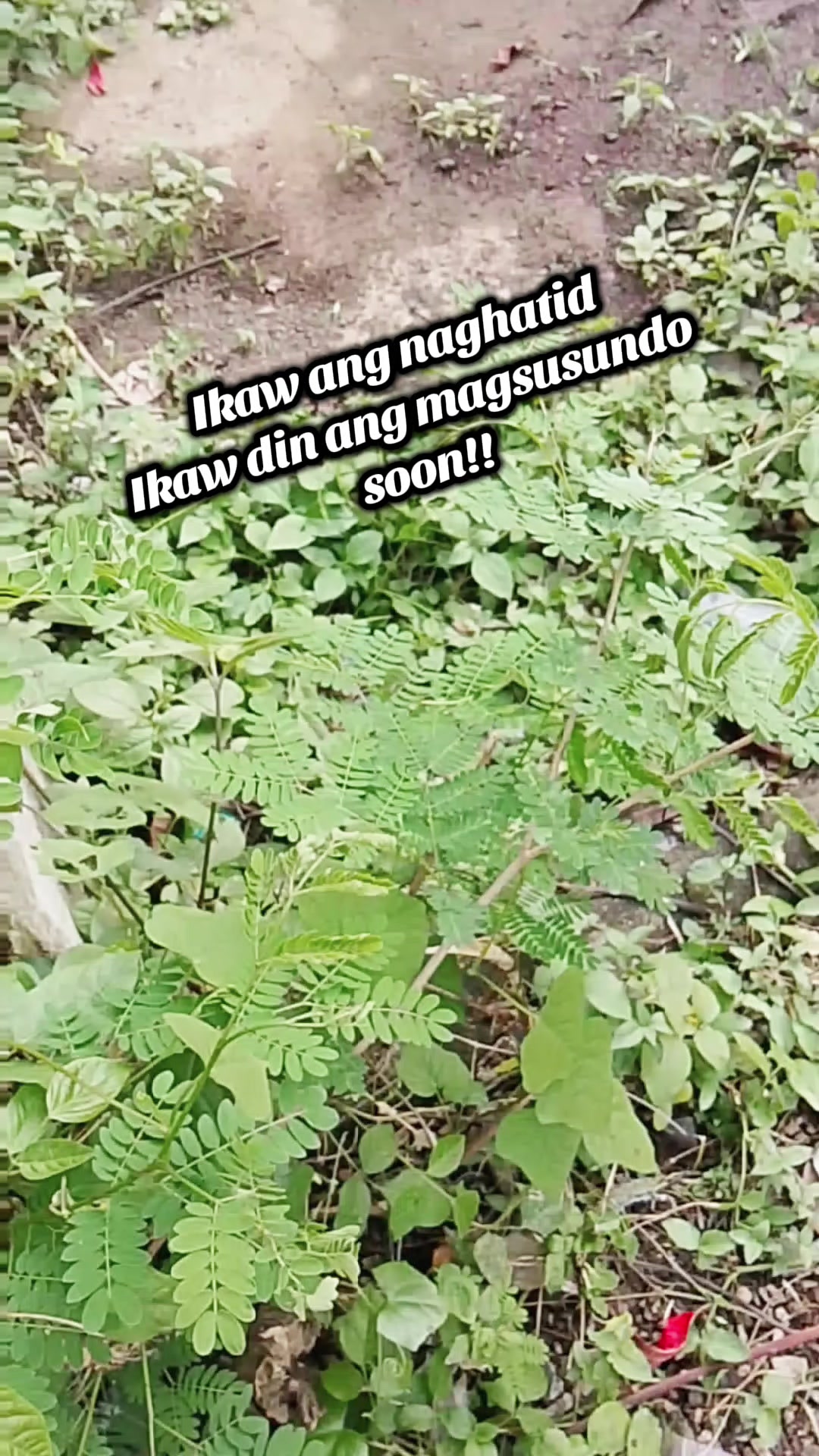 @RUSH_NA_RUSI‼️🇵🇭💪