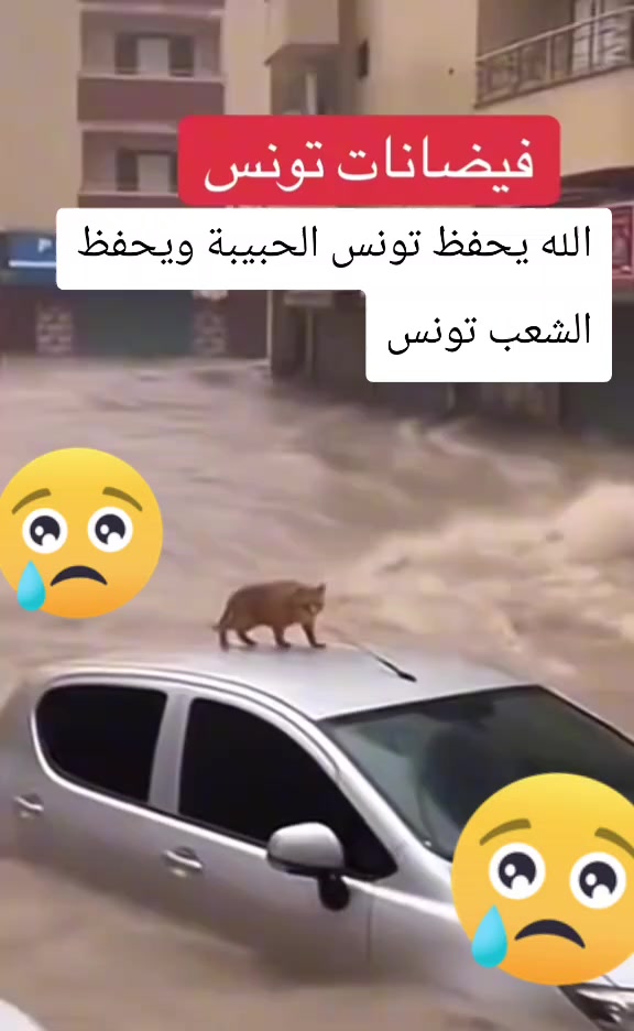 @🌹💘اميره نفسي💞🌹