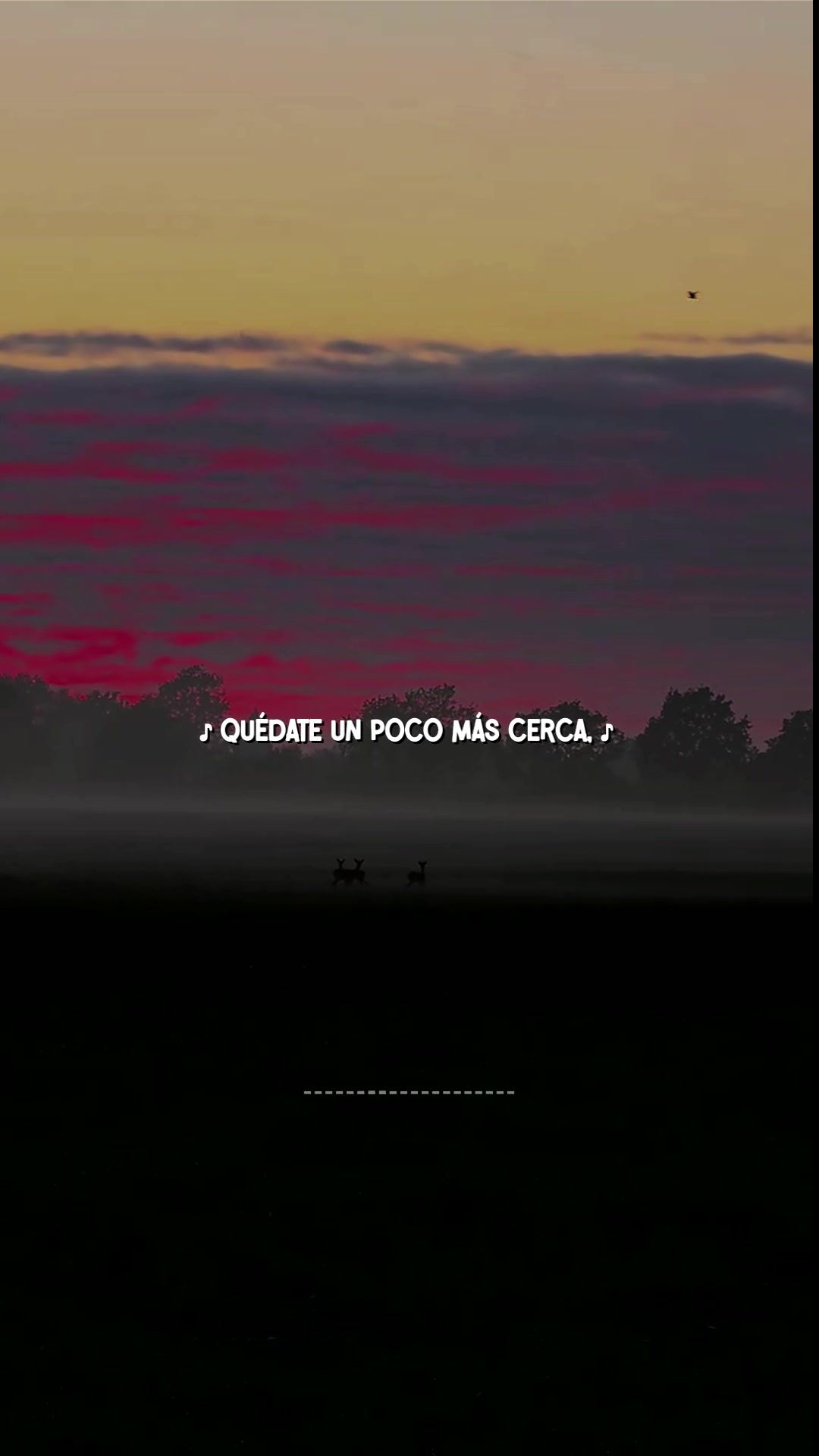 @L I L N O A H