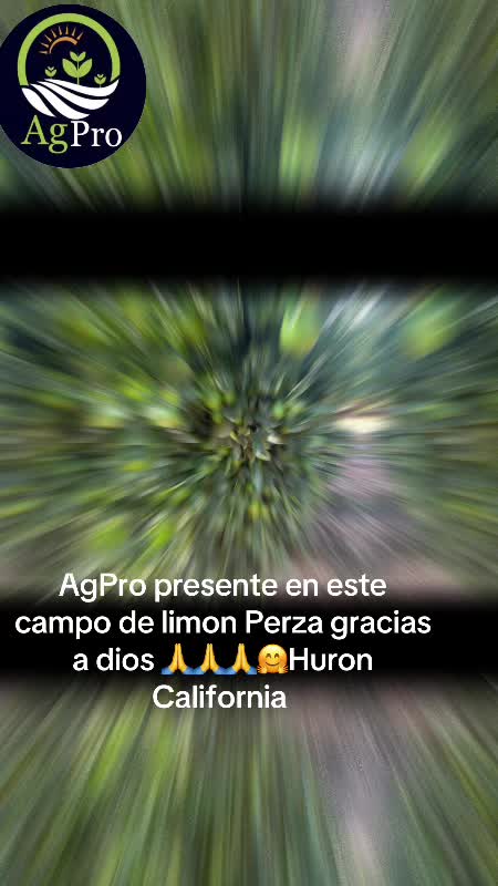 @Piedad Ayala