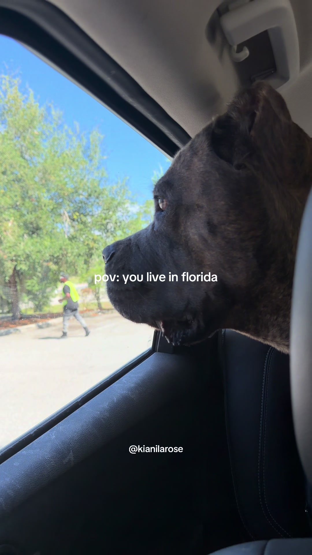 @Ki & Kora