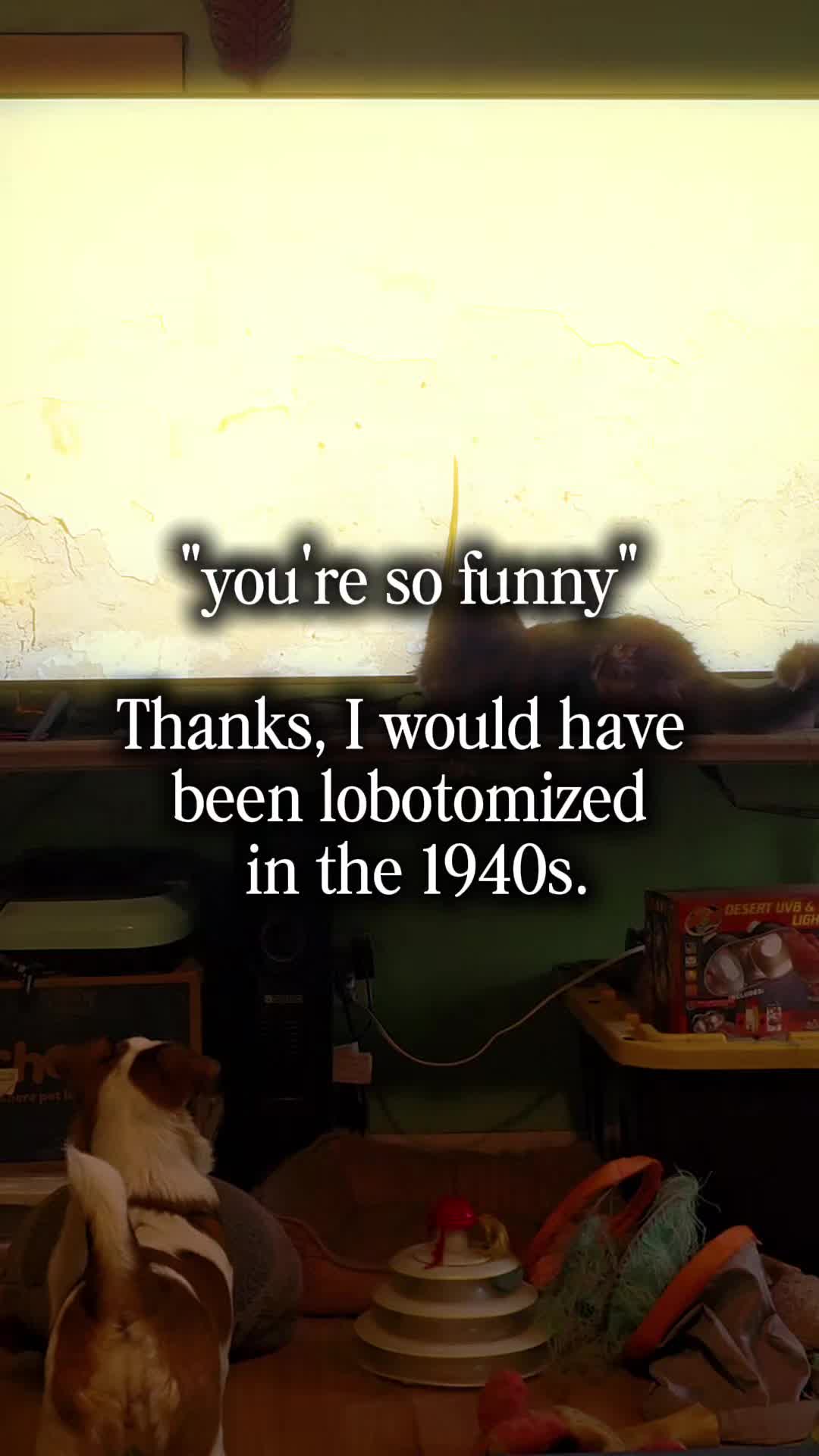 @Franciska Morrison