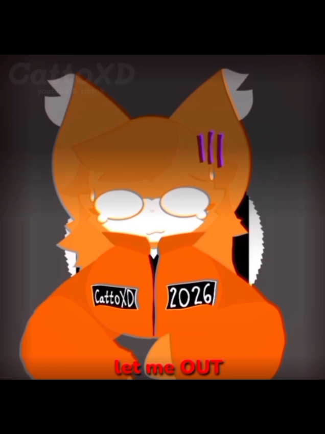 @CattoXD