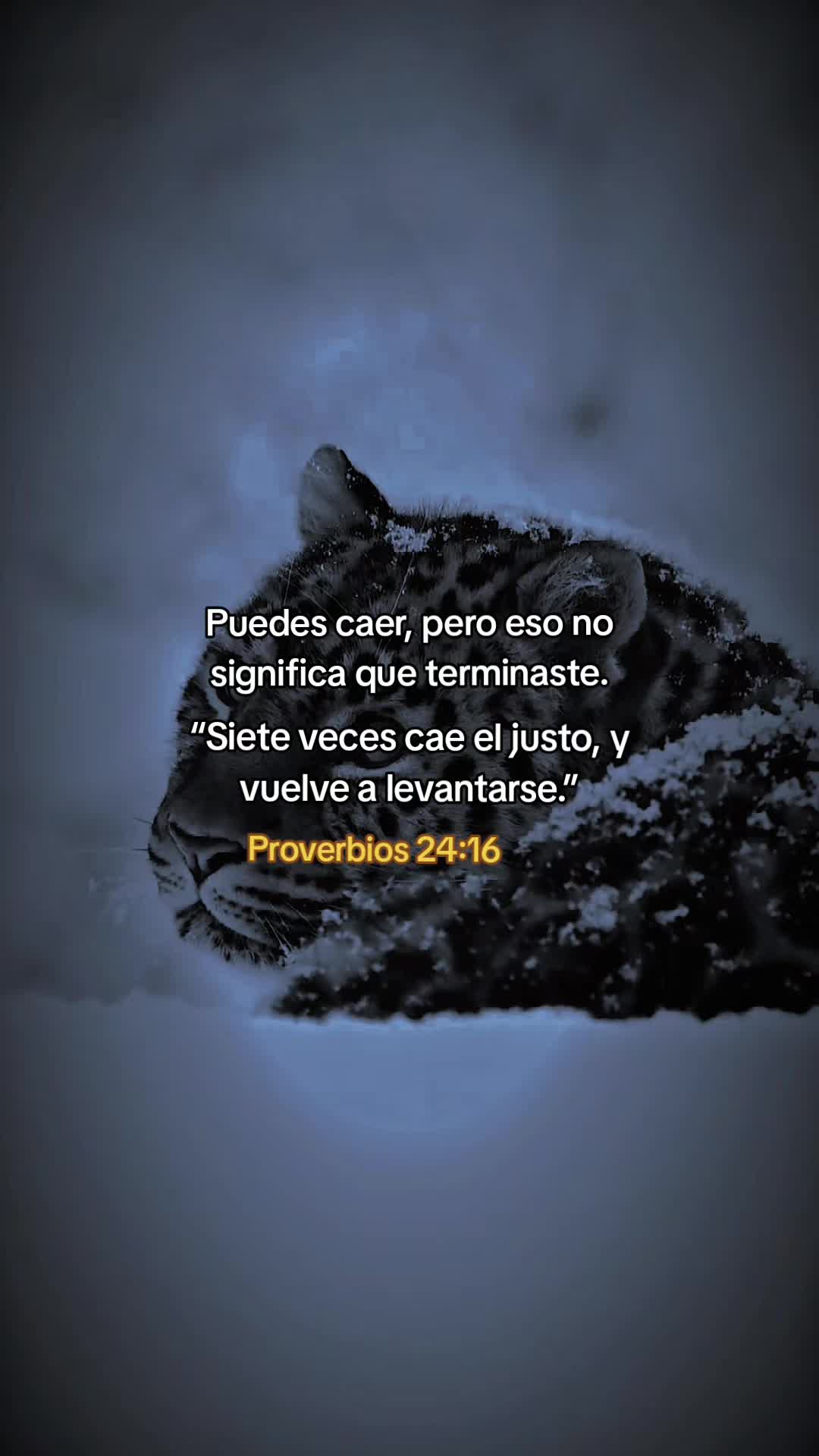 @🦁“INFINITO”✨️🕊