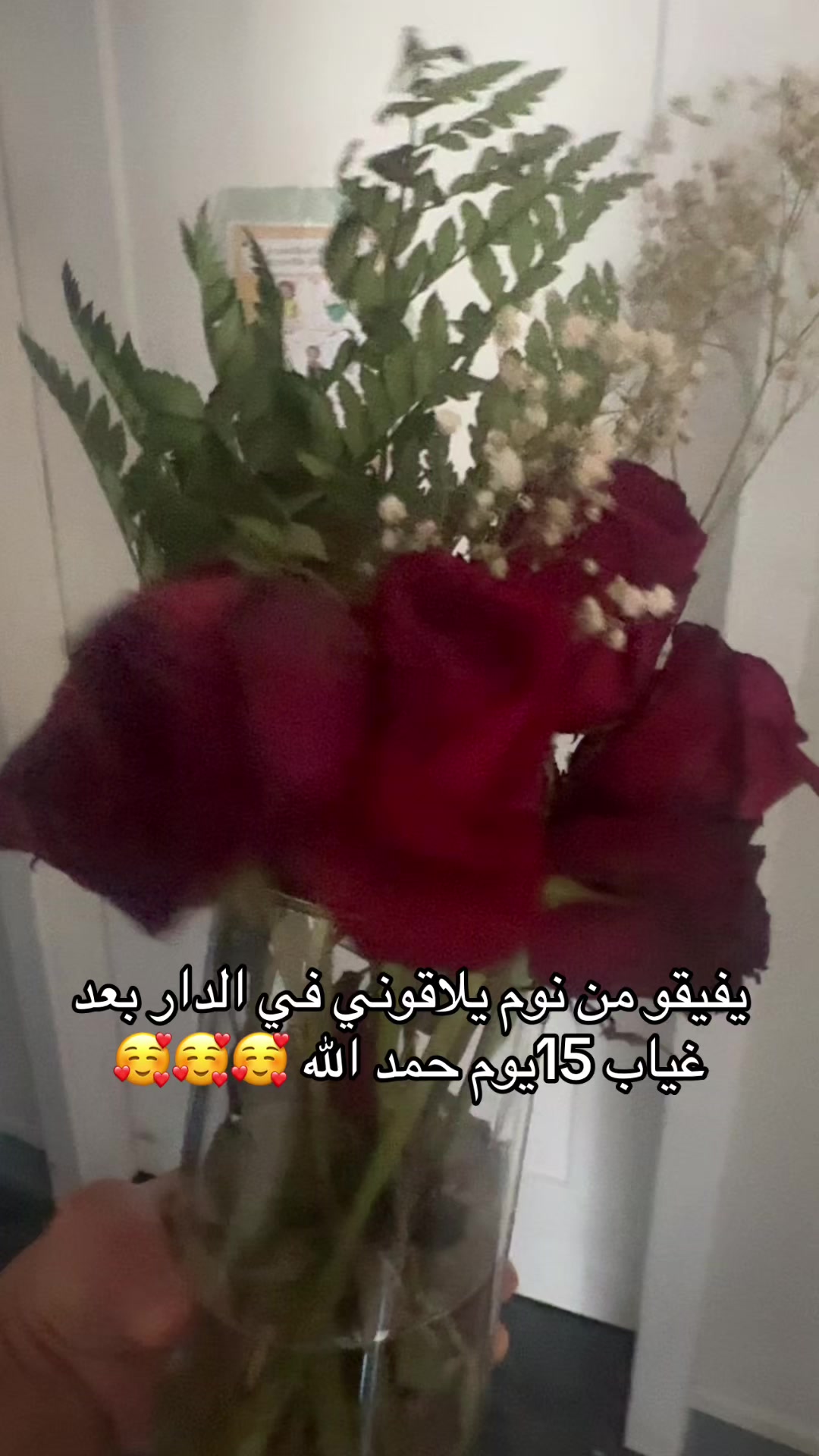@rima Abdou ❤️🖤💛🇹🇳🇨🇦