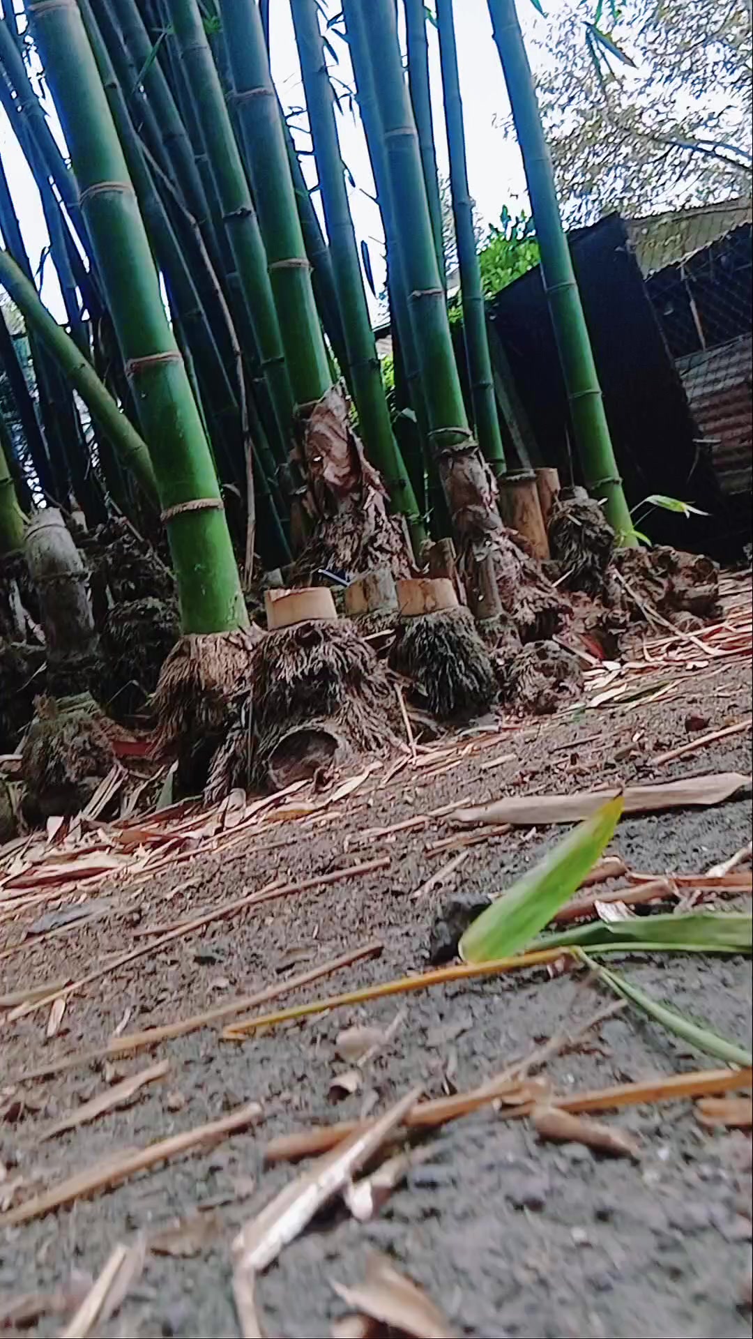 @Tạp hóa Khang Khang