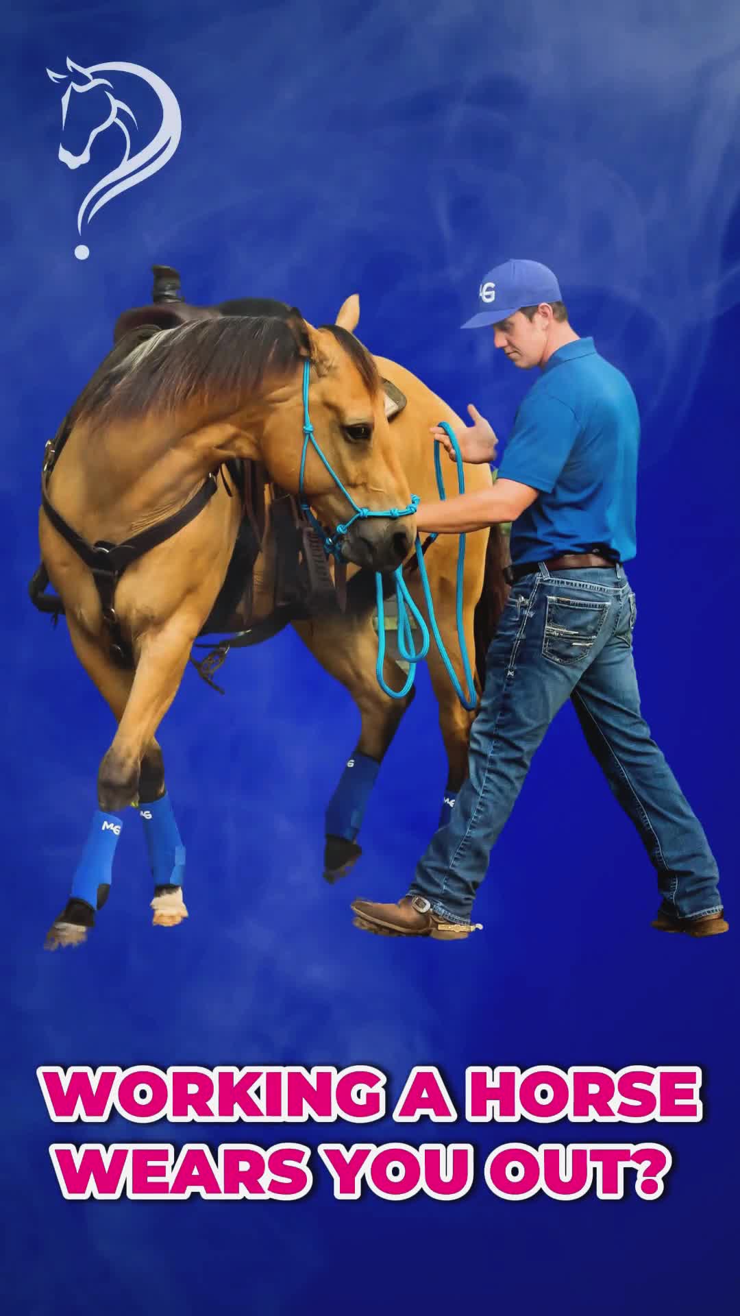 @Horse Help