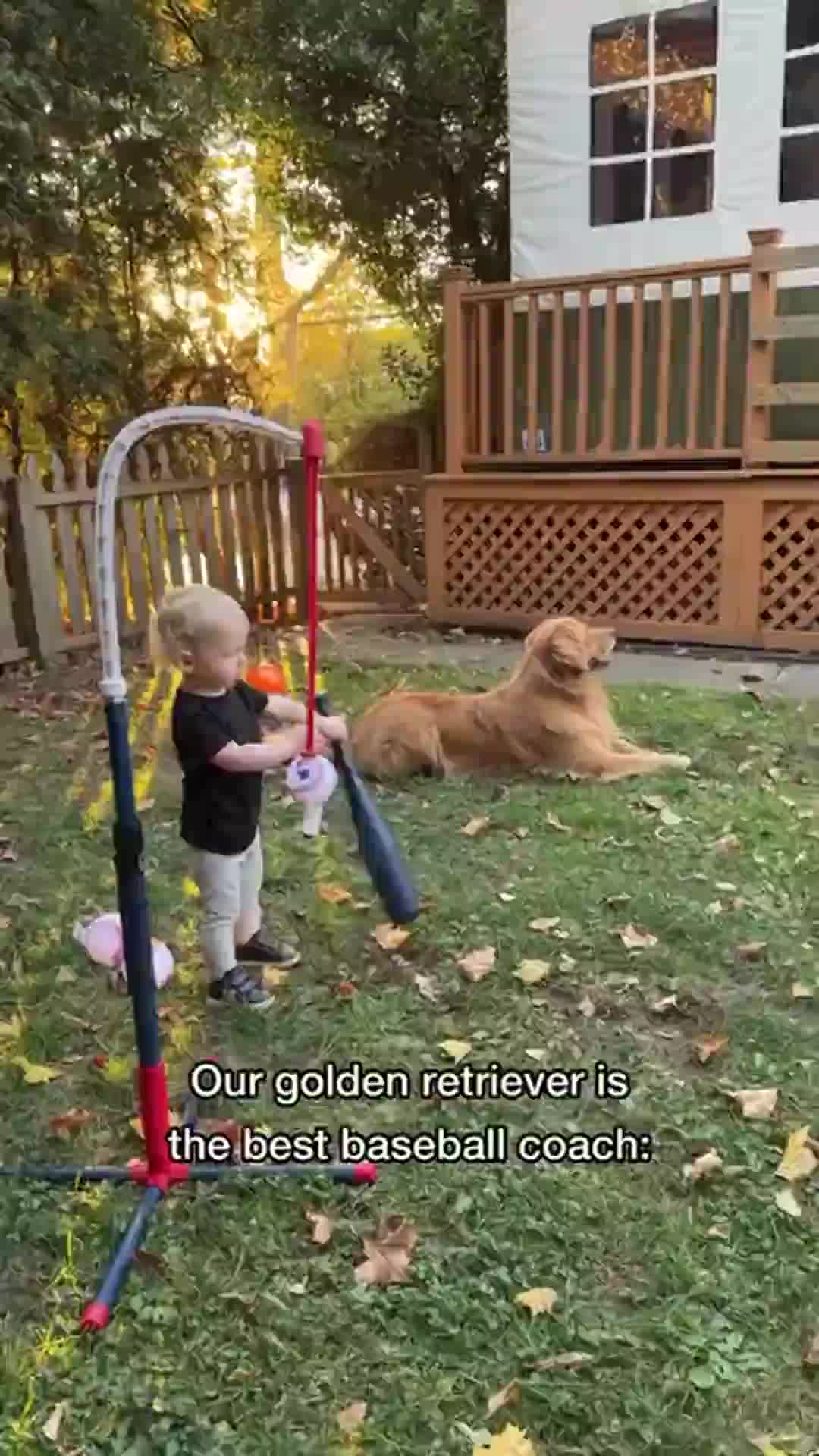 @Dev | mom + dog mom