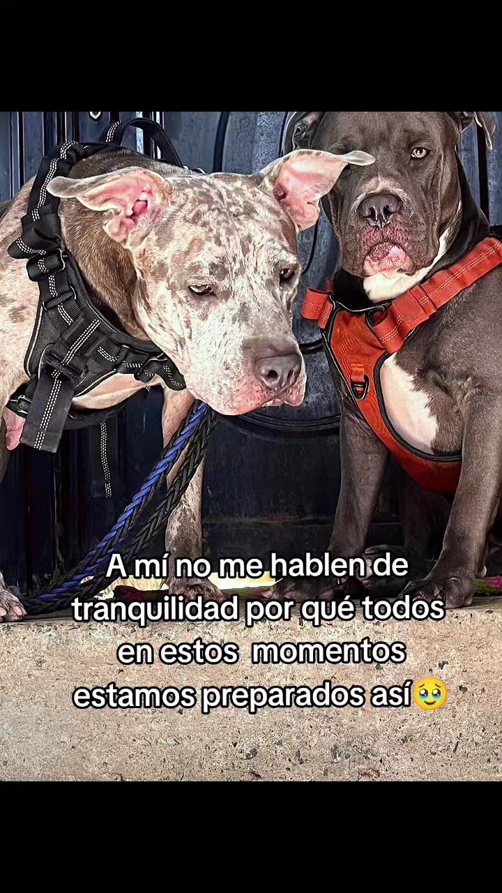 @Angiie Marín🍃❤️