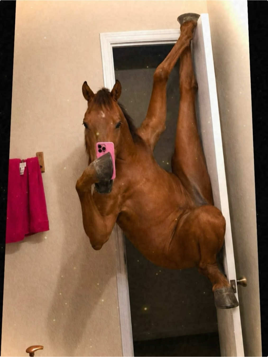 @𝕡𝕖𝕟𝕖𝕝𝕠𝕡𝕖