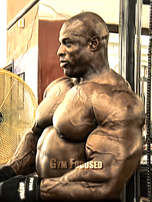@Gym Focused
