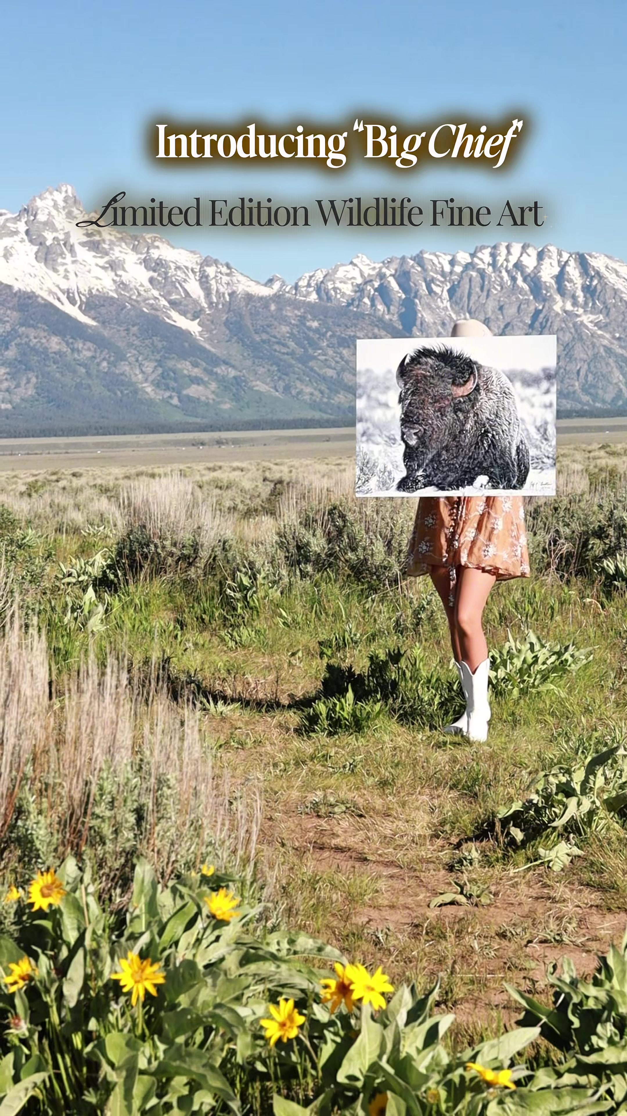 @Gallery Teton Reverra