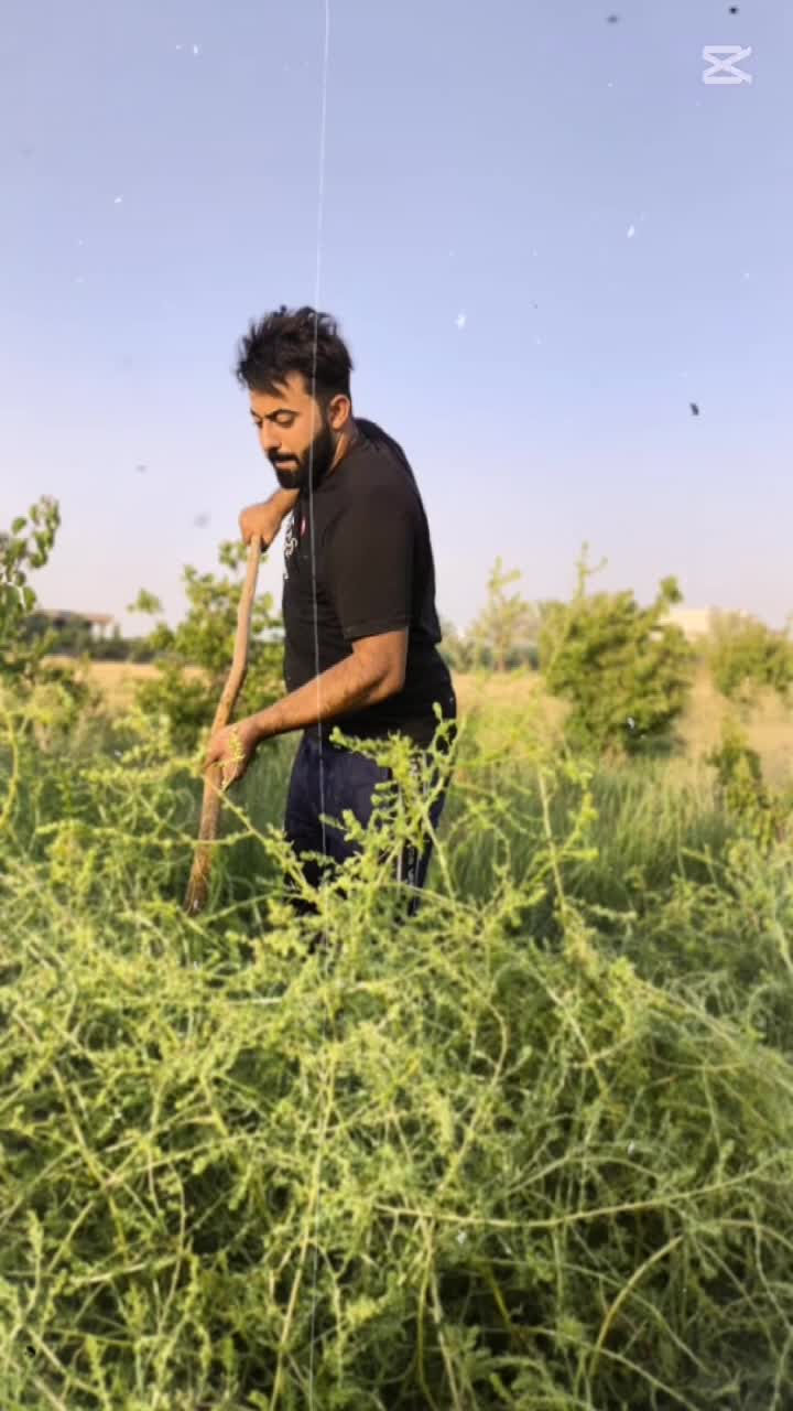 @آلآنبــآري آبــن آلفلوج ـه🇮🇶