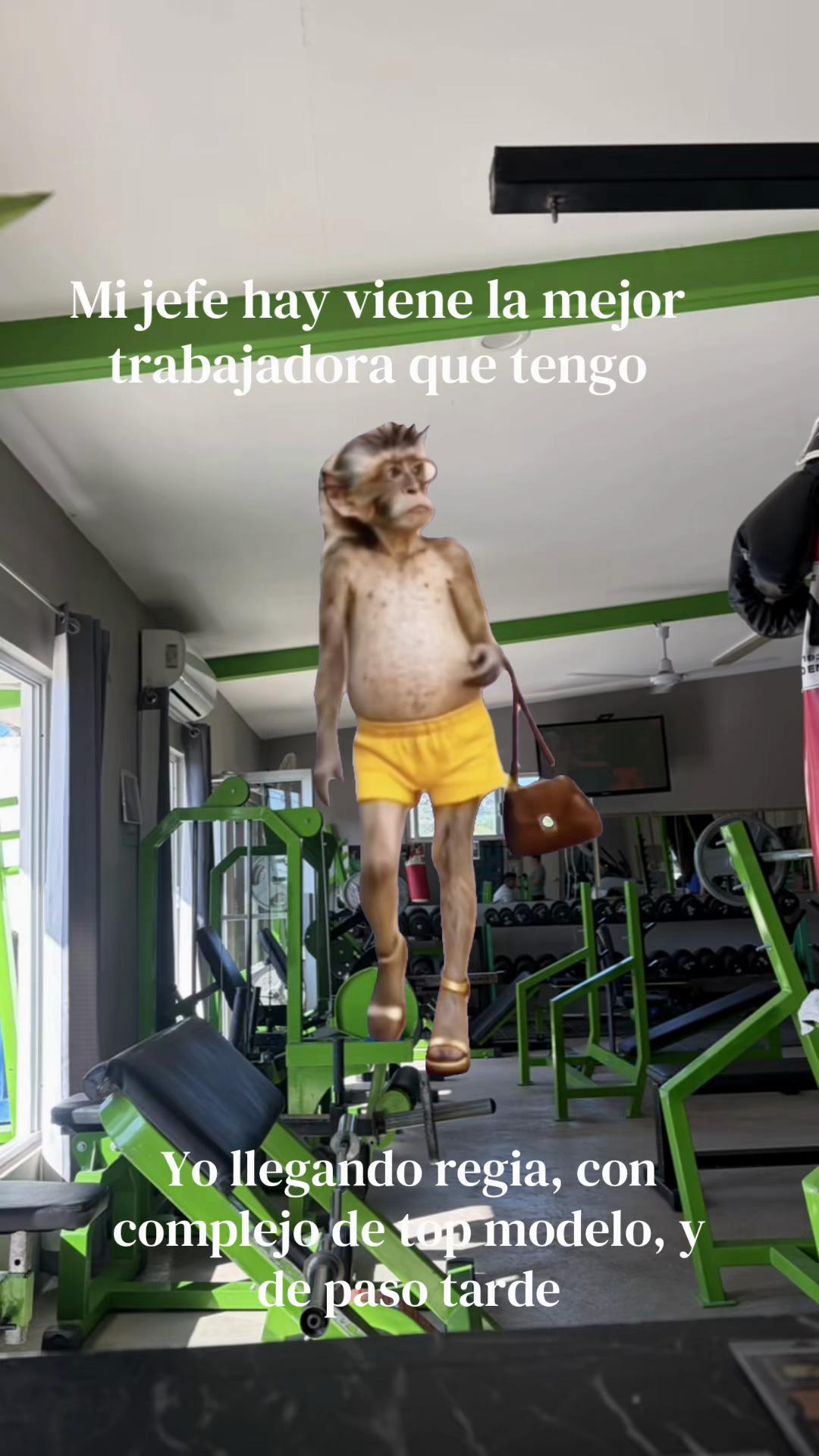 @ANGEL GYM