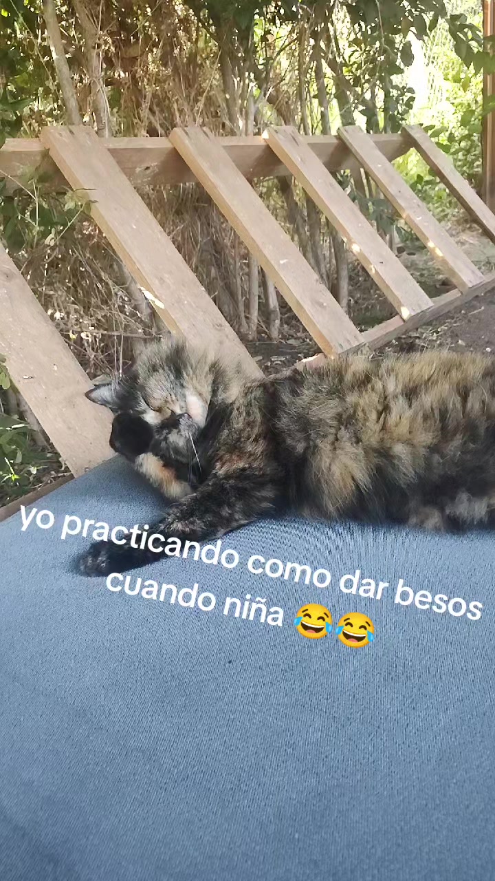 @Cattalina Alejandra