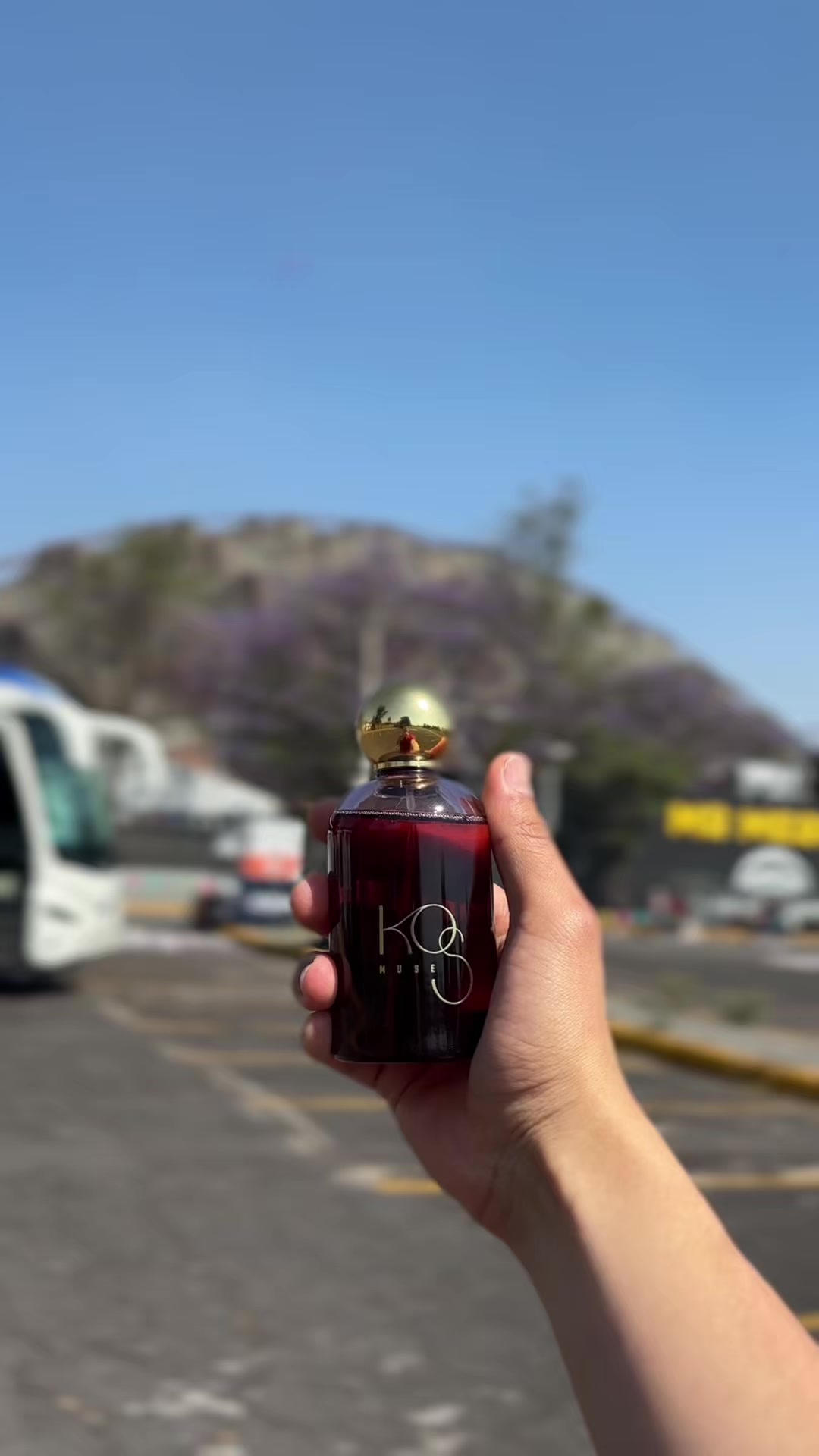 @Alberto Ch&aacute;vez