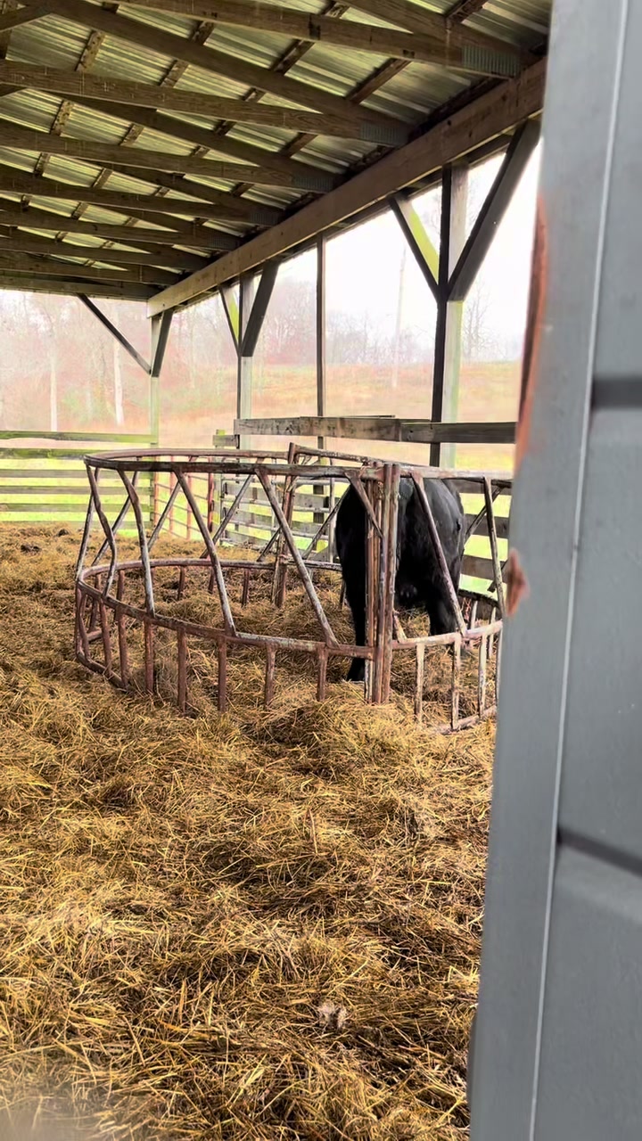 @EasilyDistractedby2Cows
