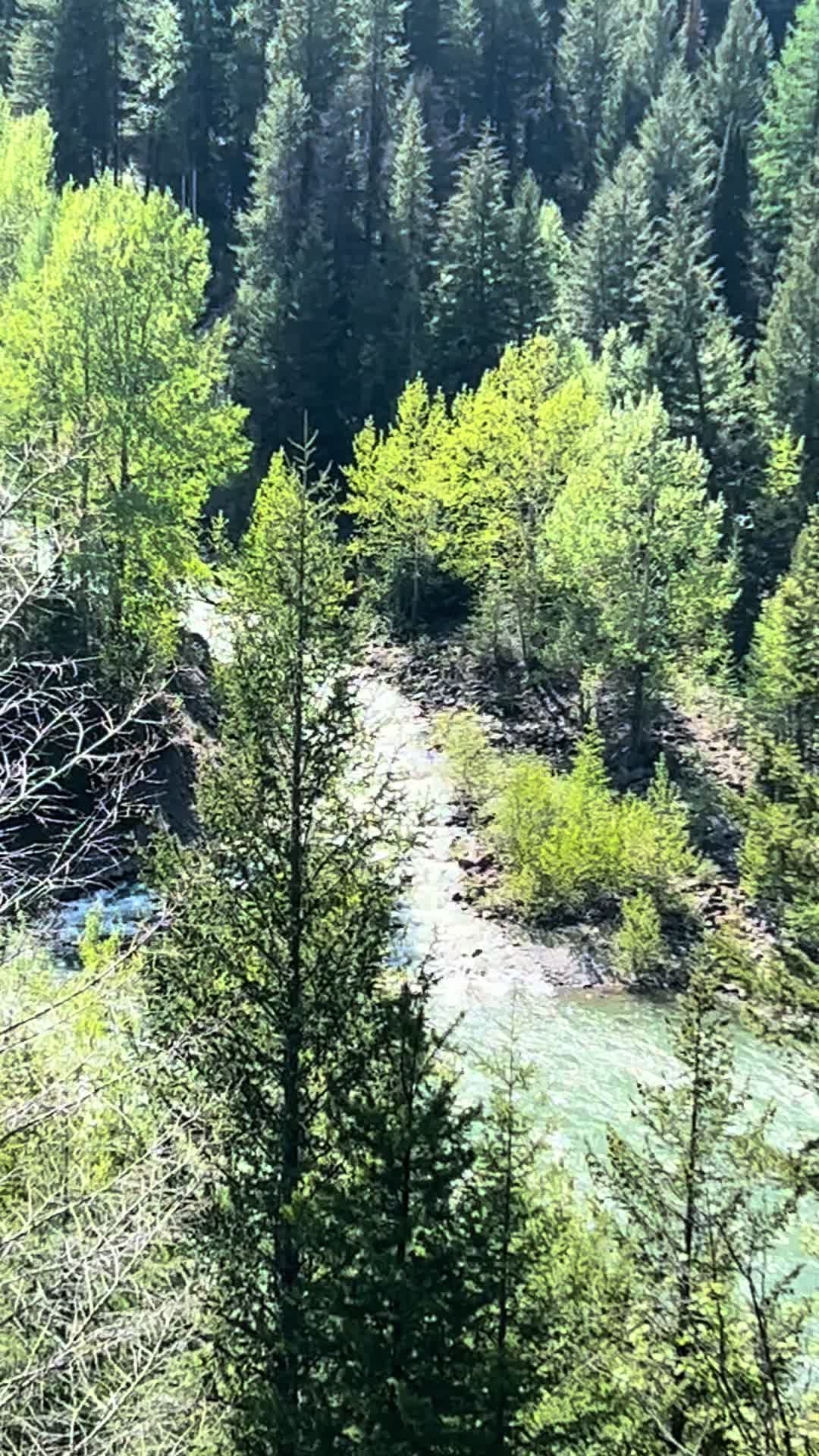 @MudcrazeTv