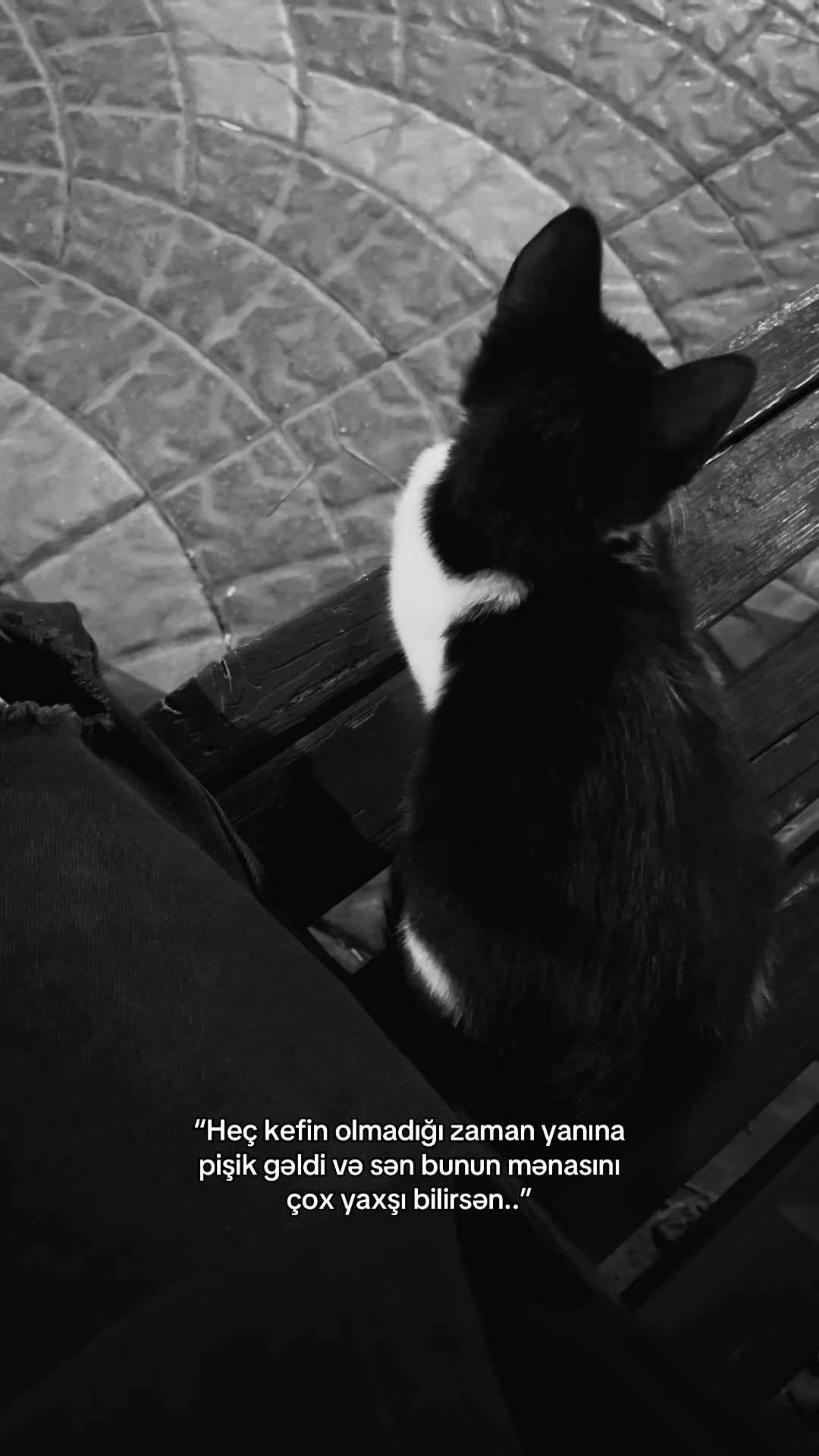 @♎︎
