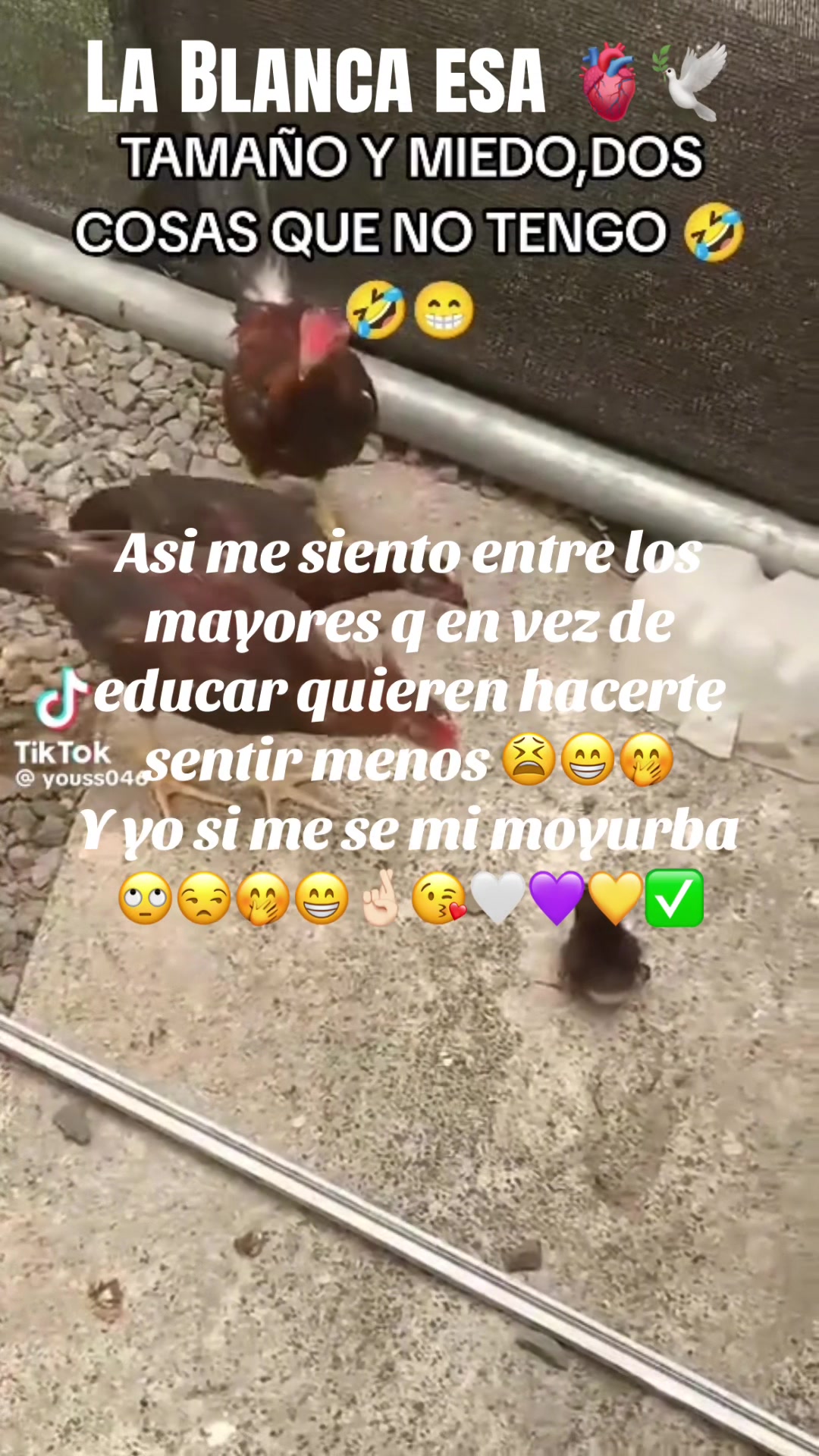 @Lacasadeeggun🤍🖤