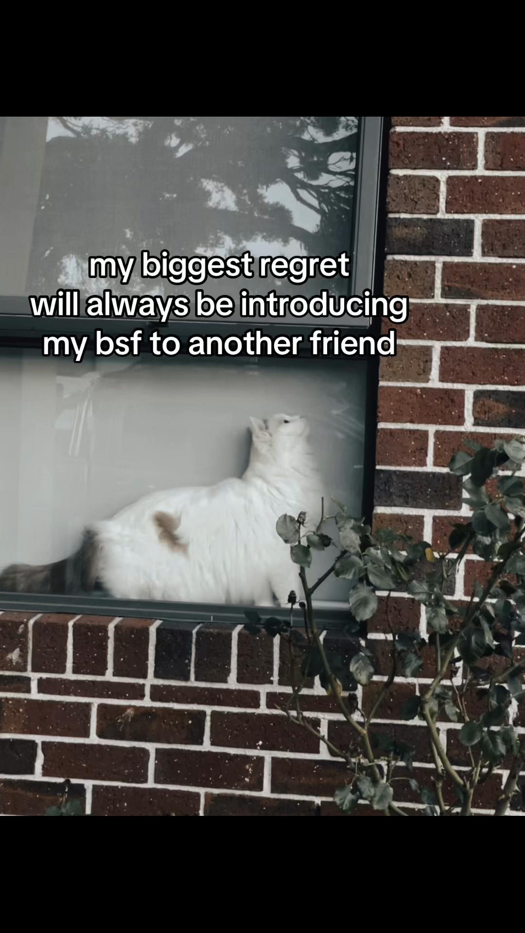 @♯★ 𝙖 𝙢 𝙖 𝙣 𝙞 🫍