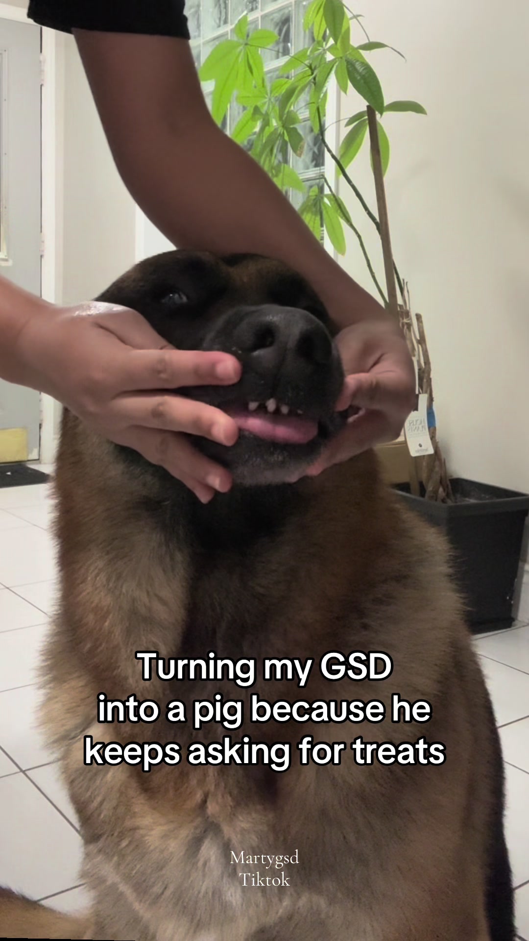 @Martygsd
