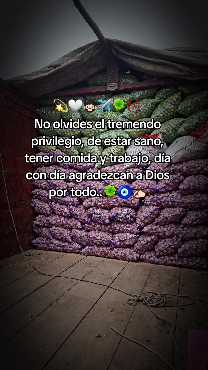 @🐬♦️𝗤𝘂𝗲𝘀𝗼_12_04_96♦️🐬