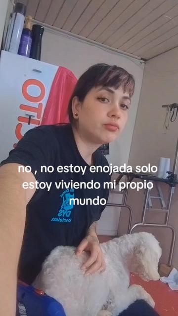 @darii&Scamp