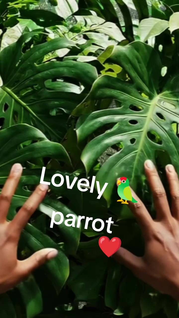@Junu_rai582