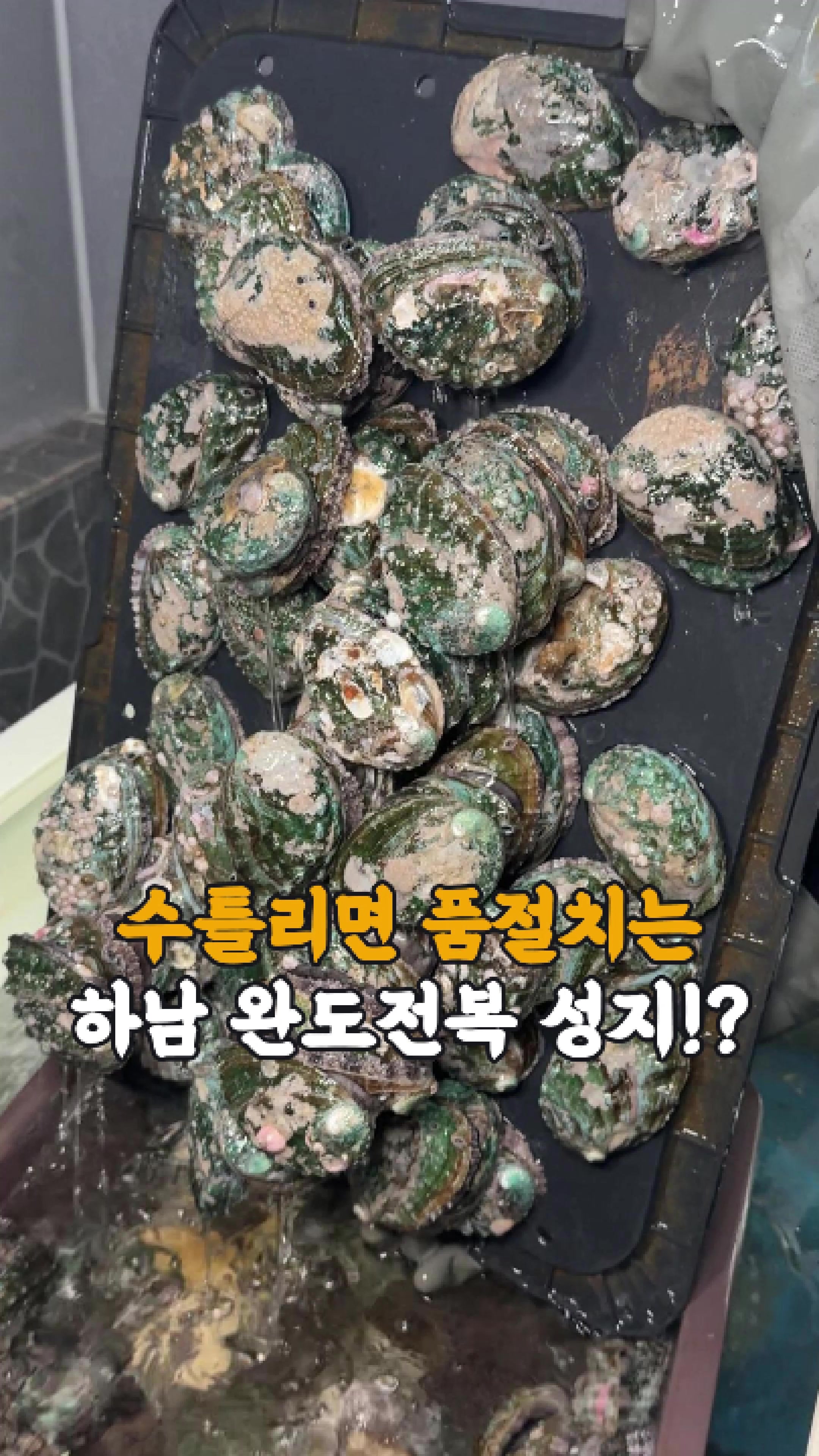 @먹지도