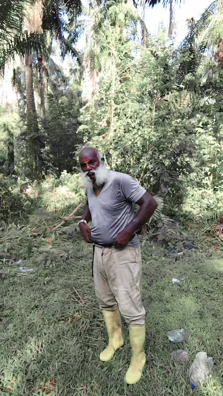 @thiaguthiagu551@gmail.com