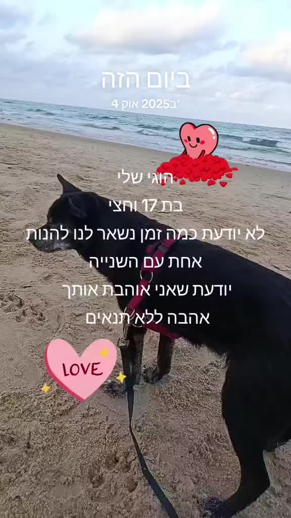 @ליאת גנני