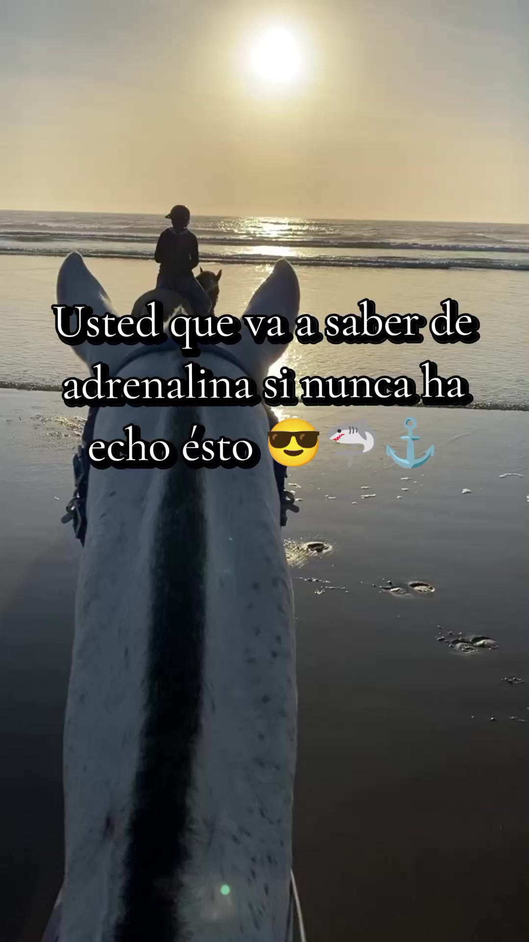 @A69🦈Mr.Shark🐒🎀🥑🍉