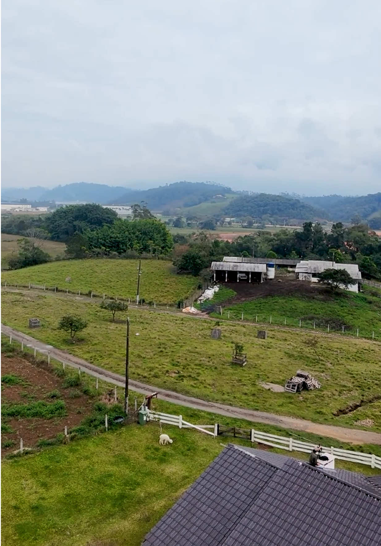 @Lipe Peixoto