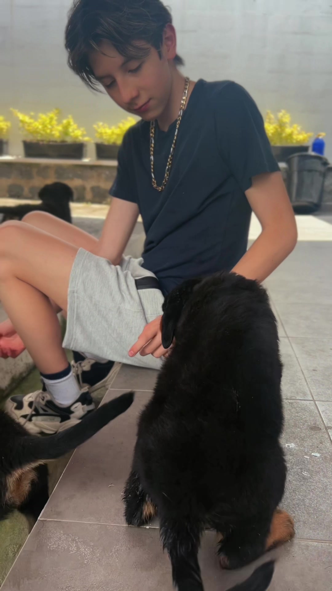 @I love DOGS