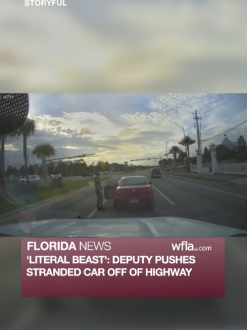@WFLA News Channel 8