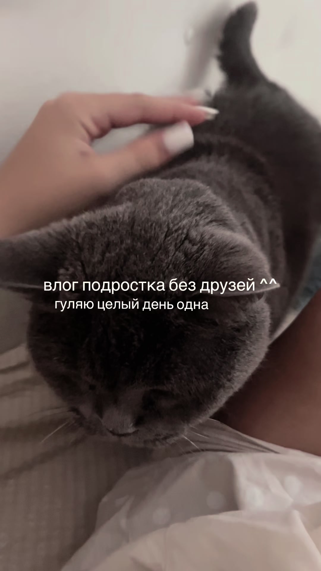 @тгк - shpulya